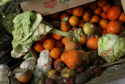 ESG initiatives and food waste reduction go hand in hand for manufacturers.