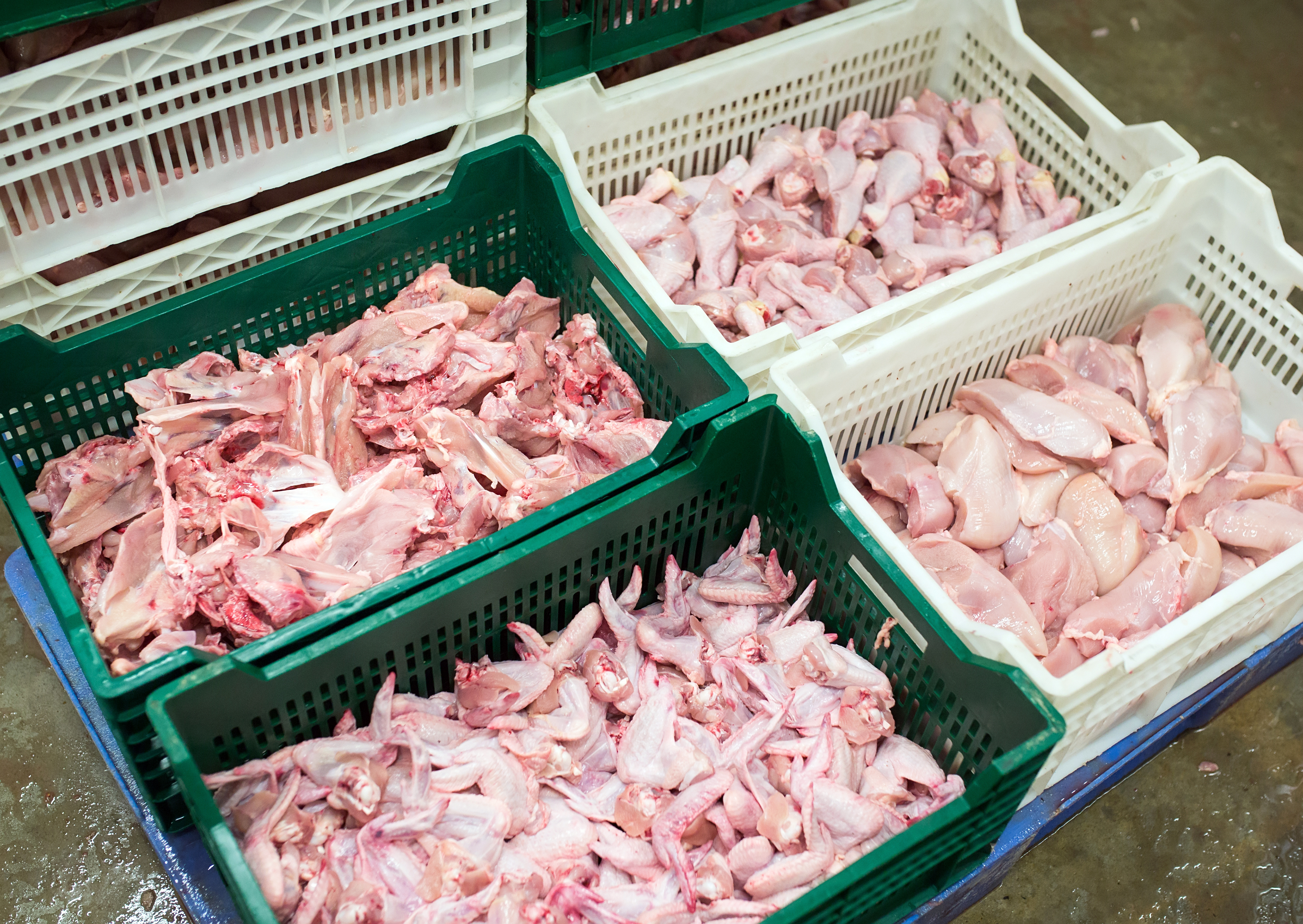 Cryogenic solutions can help increase throughput, improve efficiency, preserve quality, and support more resilient supply chains.