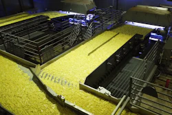 The VERYX sorting equipment at Bem Brasil's facility enables full-surface inspection of potato strips.