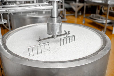 The tension between bespoke, application-specific equipment and standardized, scalable platforms is a key consideration during capital planning.