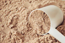 Some manufacturers have halted output or reformulated flagship products to balance the limited supply of whey protein.