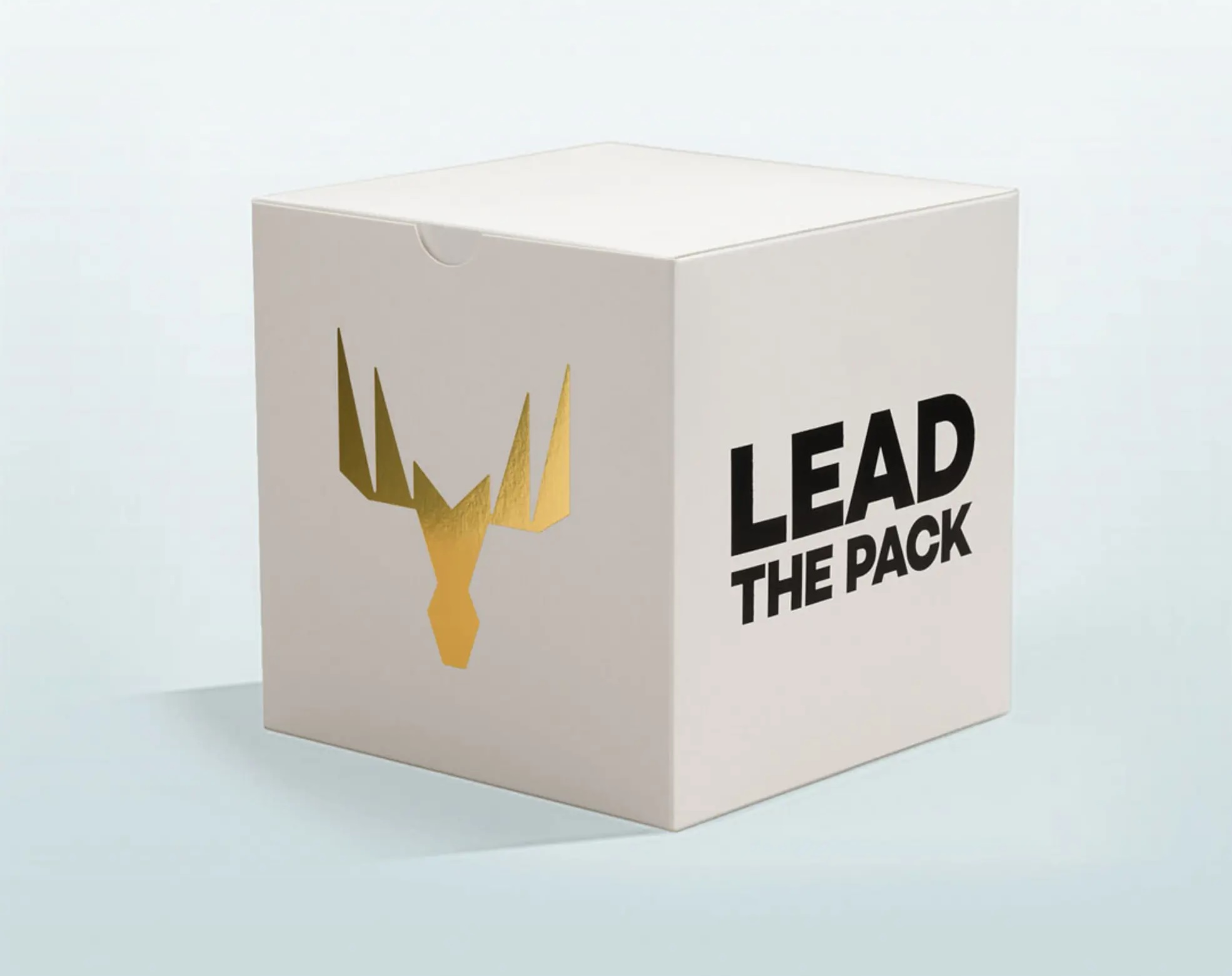 Lead The Pack Web