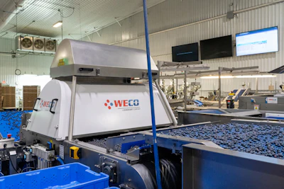 H&A Farms Automates Blueberry Inspection to Keep Pace with Quality ...
