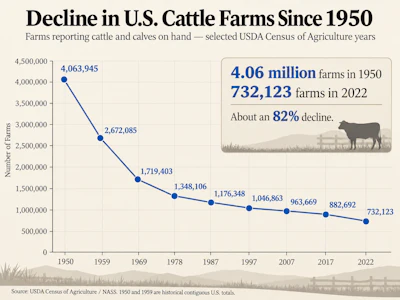 Beef Recall Article Image 4 Decline