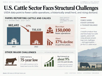 Beef Recall Image 3 Cattle