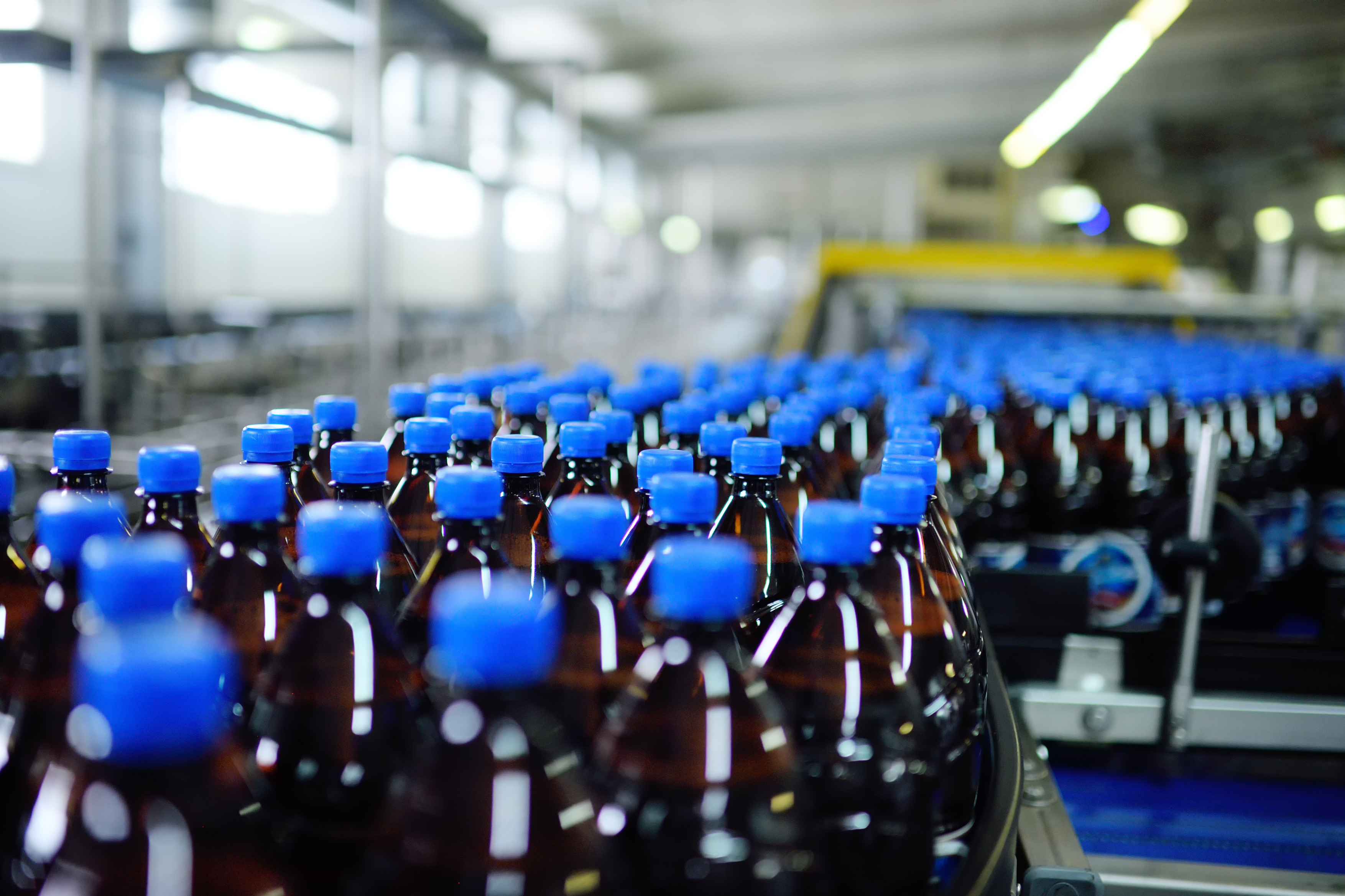 Factory production line with rows of brown glass bottles capped with blue lids in an industrial facility