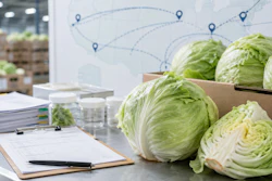 Fresh green cabbage heads in cardboard box on office desk with logistics map and clipboard