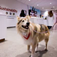 Nestle Purina Pet Care Batavia Grand Opening