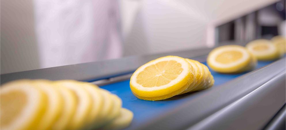 Sliced lemons arranged on a blue conveyor belt in a food processing facility