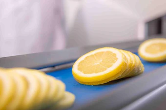 Sliced lemons arranged on a blue conveyor belt in a food processing facility