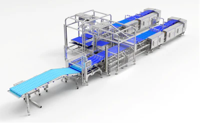 Industrial automated conveyor system with blue belt modules and metal framework for manufacturing operations